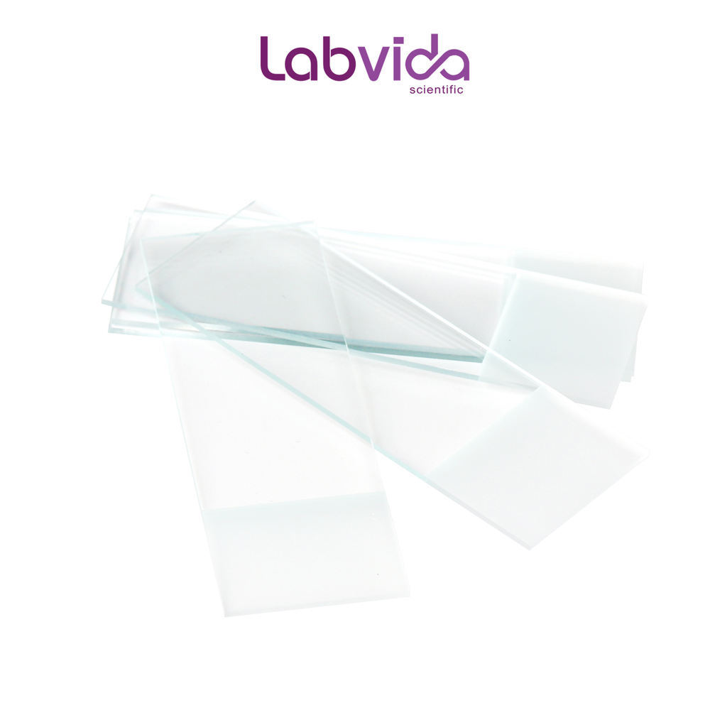LVQ032Z Dim.75mmx25mm 45° Safety Corners Super Grade Glass Labvida 100pcs of Pre-Cleaned Frosted Microscope Slides Ground Edges